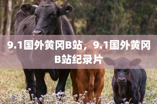 9.1国外黄冈B站，9.1国外黄冈B站纪录片