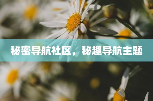 秘密导航社区，秘趣导航主题
