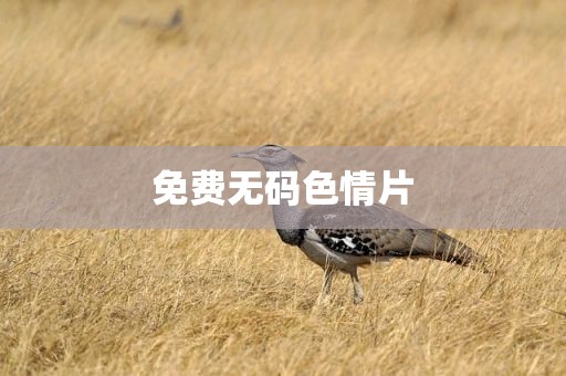 免费无码色情片