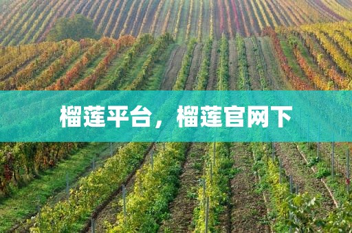 榴莲平台，榴莲官网下