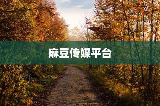 麻豆传媒平台