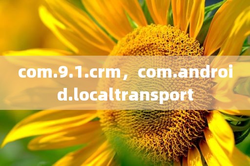 com.9.1.crm，com.android.localtransport