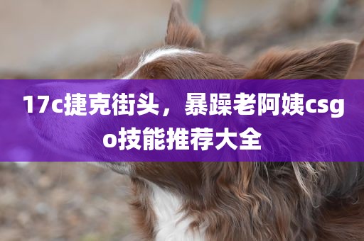 17c捷克街头，暴躁老阿姨csgo技能推荐大全