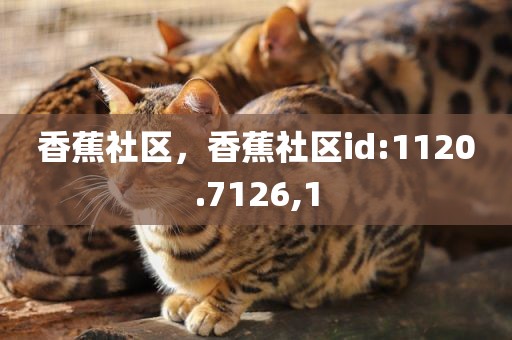 香蕉社区，香蕉社区id:1120.7126,1
