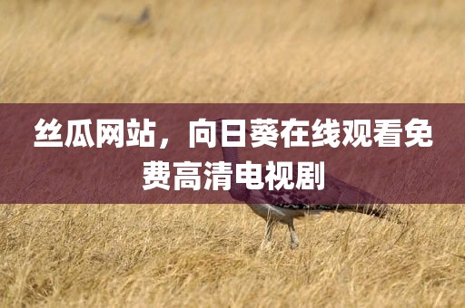 丝瓜网站，向日葵在线观看免费高清电视剧