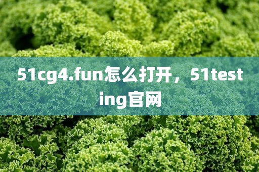 51cg4.fun怎么打开，51testing官网