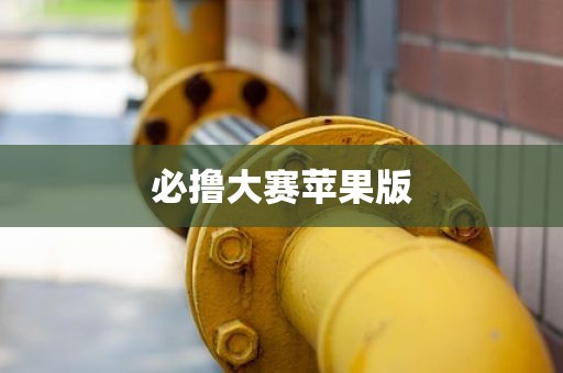 必撸大赛苹果版