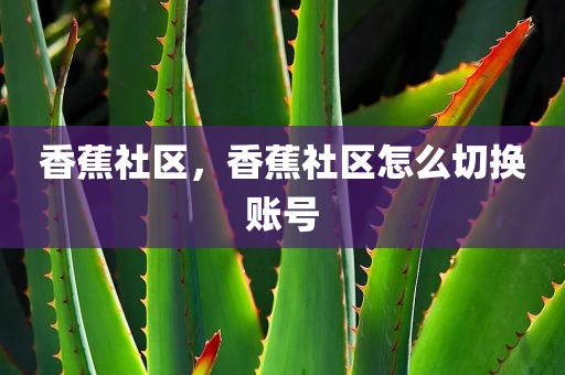 香蕉社区，香蕉社区怎么切换账号