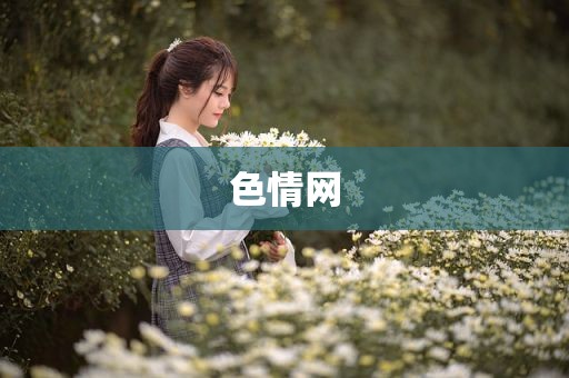 色情网