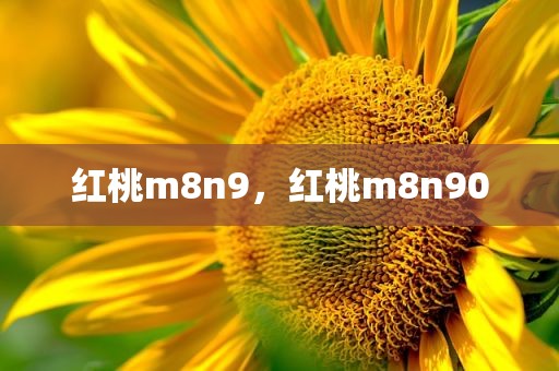 红桃m8n9，红桃m8n90