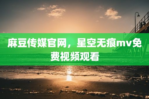 麻豆传媒官网，星空无痕mv免费视频观看