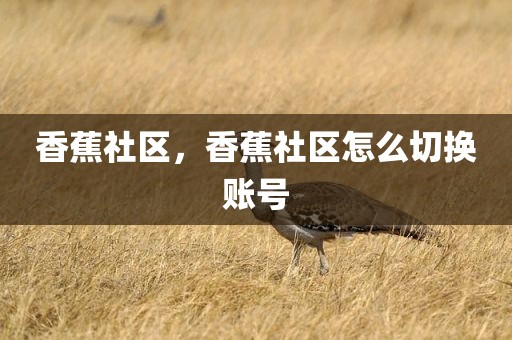 香蕉社区，香蕉社区怎么切换账号