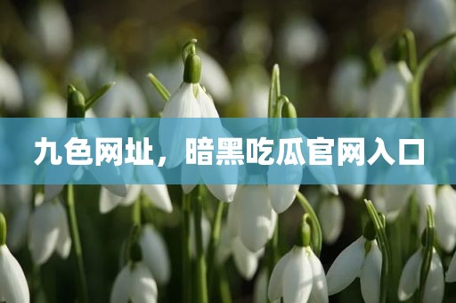 九色网址，暗黑吃瓜官网入口