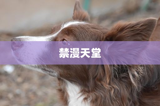 禁漫天堂