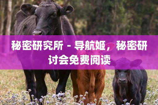 秘密研究所－导航姬，秘密研讨会免费阅读