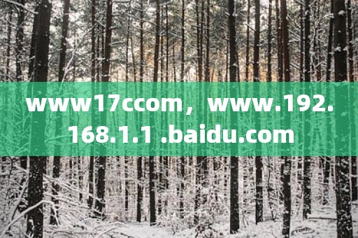 www17ccom，www.192.168.1.1 .baidu.com