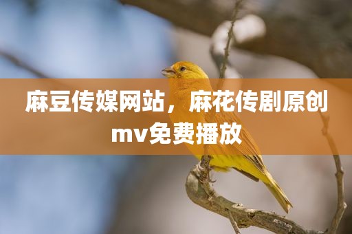 麻豆传媒网站，麻花传剧原创mv免费播放