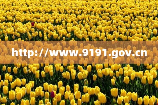 http://www.9191.gov.cn