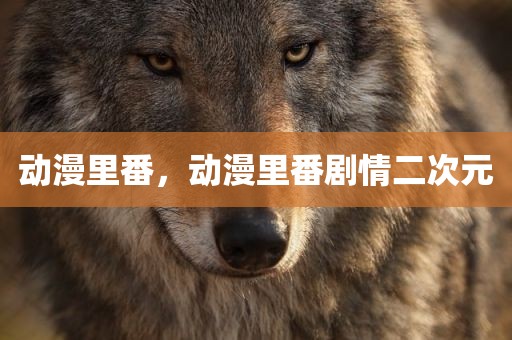 动漫里番，动漫里番剧情二次元