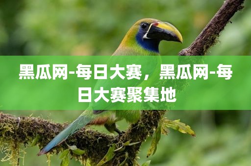 黑瓜网-每日大赛，黑瓜网-每日大赛聚集地