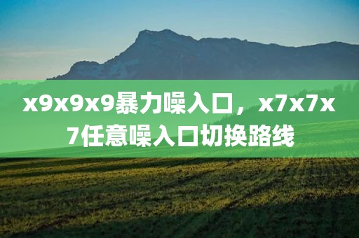 x9x9x9暴力噪入口，x7x7x7任意噪入口切换路线