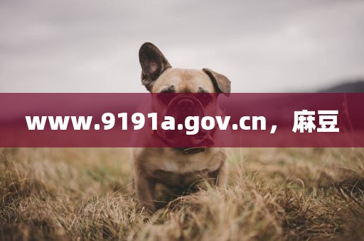 www.9191a.gov.cn，麻豆