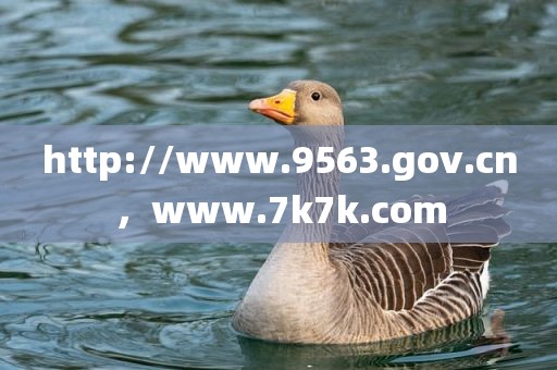 http://www.9563.gov.cn，www.7k7k.com