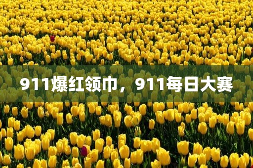 911爆红领巾，911每日大赛