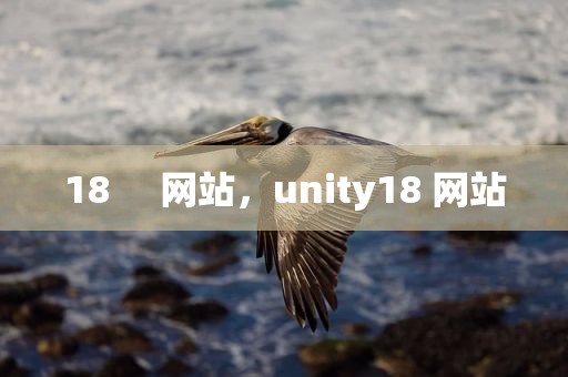 18     网站，unity18 网站