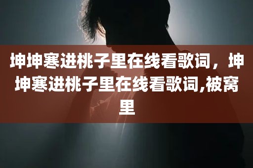 坤坤寒进桃子里在线看歌词，坤坤寒进桃子里在线看歌词,被窝里