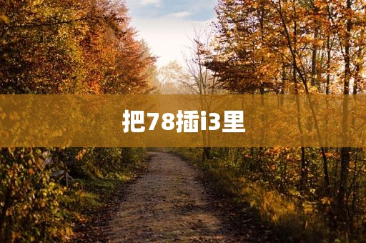 把78插i3里