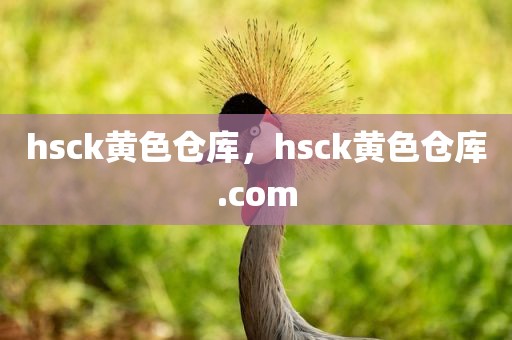 hsck黄色仓库，hsck黄色仓库.com