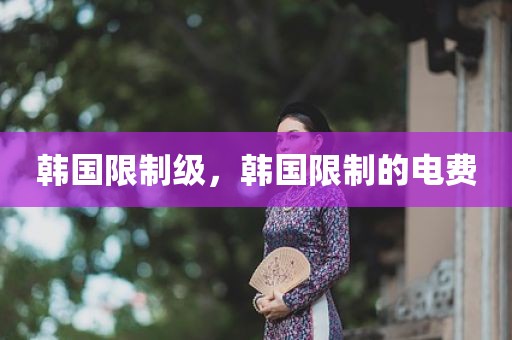 韩国限制级，韩国限制的电费