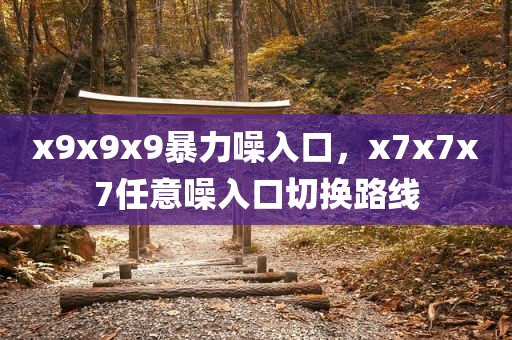 x9x9x9暴力噪入口，x7x7x7任意噪入口切换路线