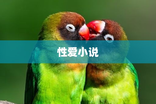 性爱小说