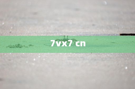 7vx7 cn