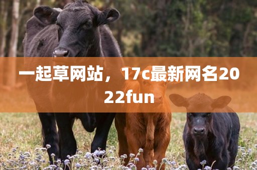 一起草网站，17c最新网名2022fun