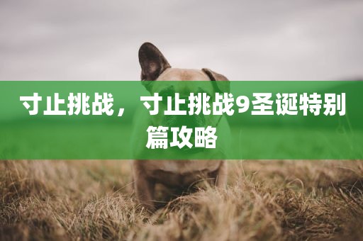 寸止挑战，寸止挑战9圣诞特别篇攻略