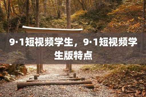 9·1短视频学生，9·1短视频学生版特点