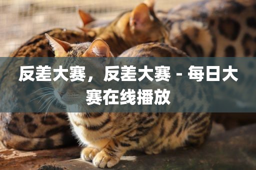 反差大赛，反差大赛 - 每日大赛在线播放