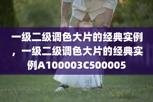 一级二级调色大片的经典实例，一级二级调色大片的经典实例A100003C500005