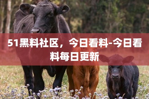51黑料社区，今日看料-今日看料每日更新