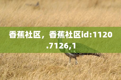 香蕉社区，香蕉社区id:1120.7126,1