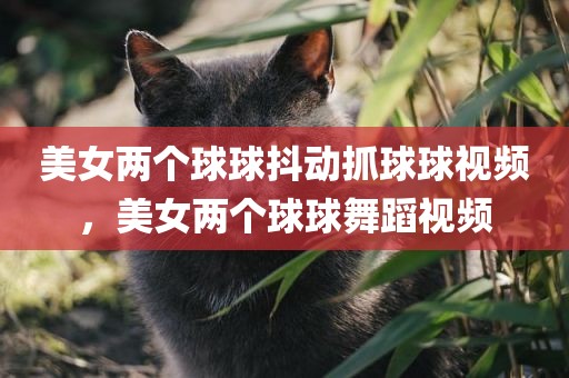 美女两个球球抖动抓球球视频，美女两个球球舞蹈视频