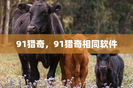 91猎奇，91猎奇相同软件