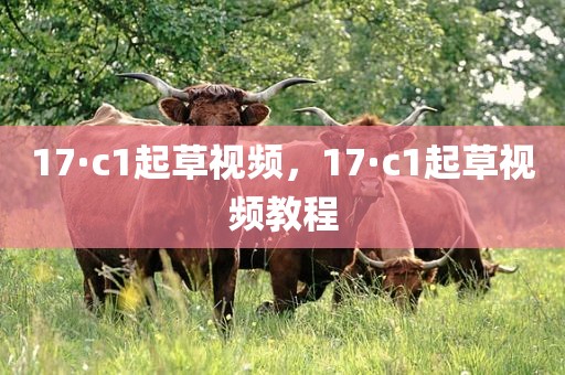 17·c1起草视频，17·c1起草视频教程