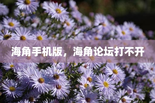 海角手机版，海角论坛打不开