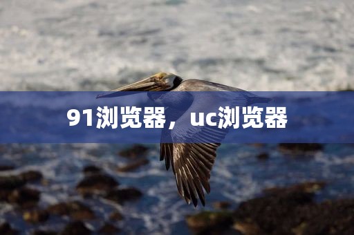 91浏览器，uc浏览器