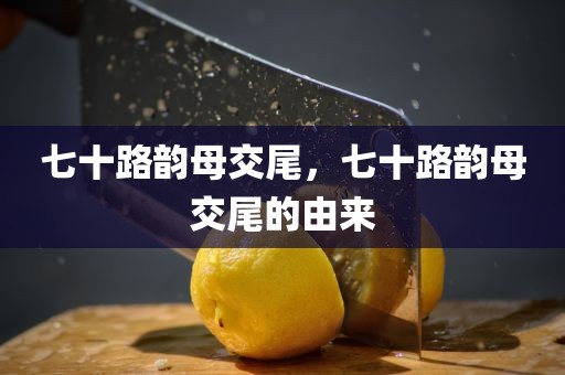 七十路韵母交尾，七十路韵母交尾的由来