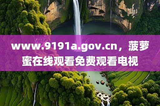 www.9191a.gov.cn，菠萝蜜在线观看免费观看电视
